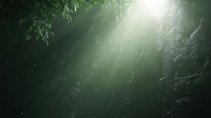 Night Light, Leafy Canopy, Dust Motes