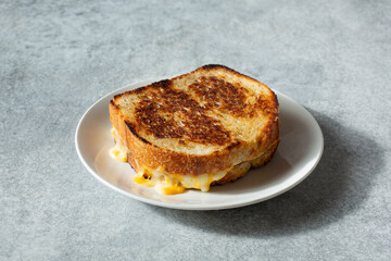 A view of a grilled cheese sandwich, on a plate.