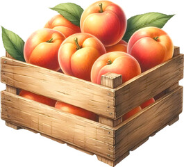 Watercolor style fresh peaches full in a wooden box

