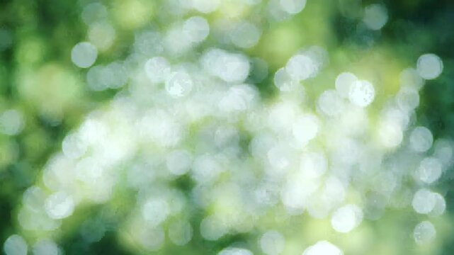 太陽の日差し・日光を受けてキラキラ輝く丸ボケ　涼しい森の川のせせらぎと波　木漏れ日を反射する水の輝き　自然・アウトドア・夏休み・水遊び・暑い・イメージ背景　