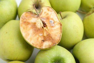 Spoiled apple and good ones on white background, closeup