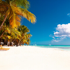 Vacation summer holidays background wallpaper - sunny tropical Caribbean paradise beach with white sand in Seychelles Praslin island Thailand style with palms