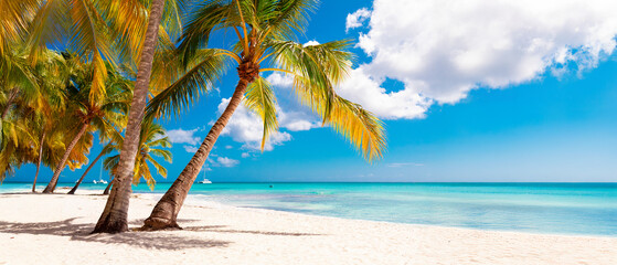 Vacation summer holidays background wallpaper - sunny tropical Caribbean paradise beach with white sand in Seychelles Praslin island Thailand style with palms