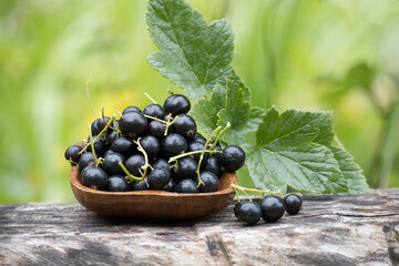 A wooden bowl overflowing with fresh black currants, alongside green leaves, set against a natural backdrop of greenery.
