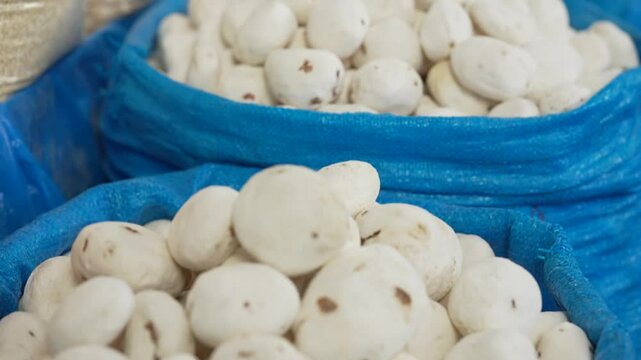 A pile of freeze dried potatoes in a basket