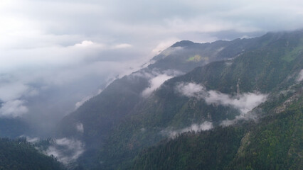Mystical Forest Valley Covered in Clouds – Drone View of Himalayan Hills