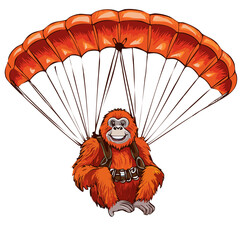 orang-outan parapente 5