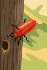 The Red Lily Beetle or Lilioceris lilii, also known as the lily leaf beetle.