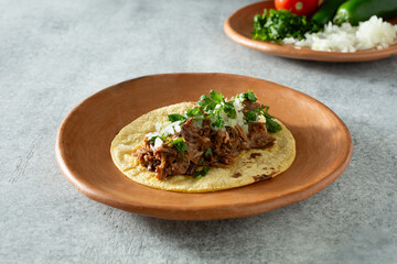 A view of a beef barbacoa street taco.