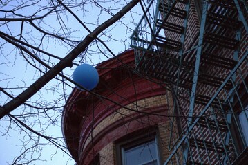 Blue balloon stuck in the tree