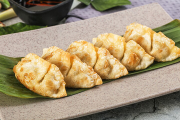 Japanese cuisine - stuffed dumplings gyoza