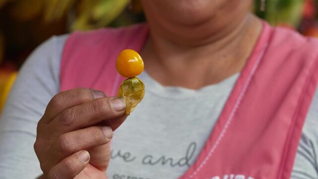 A person holding a physalis