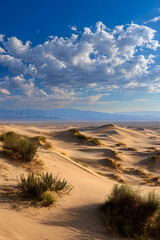 Limitless Desert Horizon: Exploring the Boundless Beauty and Adventure of Nature's Endless Expanse Beyond the Dunes
