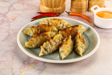 Japanese fried Gyoza stuffed dumplings