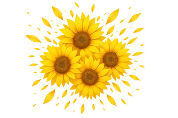Bright yellow sunflowers blooming, petals dispersing against transparent backdrop, radiating cheerful botanical elegance