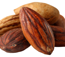 Close-up shot of roasted almonds, showcasing their rich brown color and detailed texture. almonds are piled together, highlighting their natural forms and variations