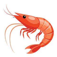 A shrimp, pink and cooked, on a plain white surface, ideal for seafood and healthy meal concepts