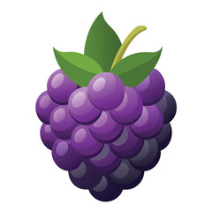 A single blackberry, dark and juicy, on a clean white background, perfect for fresh fruit and healthy eating concepts