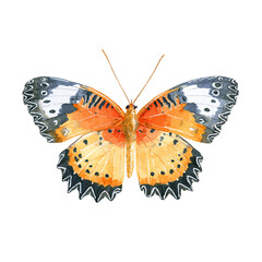 Naklejka premium Vibrant Watercolor Butterfly, Orange and Black Wings, Detailed Artwork, Isolated on Black Background