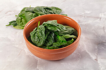 Raw green baby spinach plant