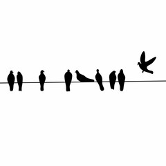 Silhouette of a flock of pigeons perched on a power line on a white screen background.