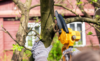 A gardener trims tree branches with a lithium battery-powered hand-held chainsaw. A hand holds a...