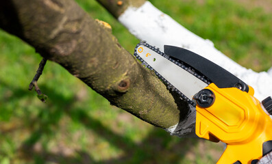 Cordless chain saw. Hand holding mini cordless chainsaw. Gardener trees with light cordless...