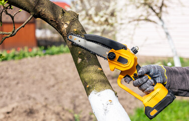 A gardener trims tree branches with a lithium battery-powered hand-held chainsaw. A hand holds a...
