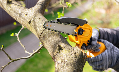 Garden hand-held cordless saw. Worker in grey gloves directs yellow-black chainsaw to thick tree...