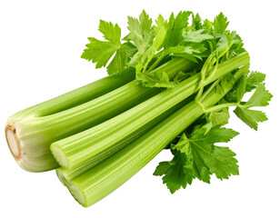Celery isolated on transparent background
