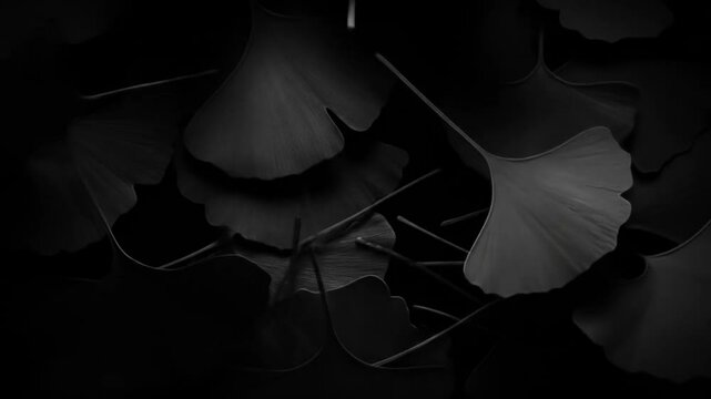 Dark ginkgo leaves close up