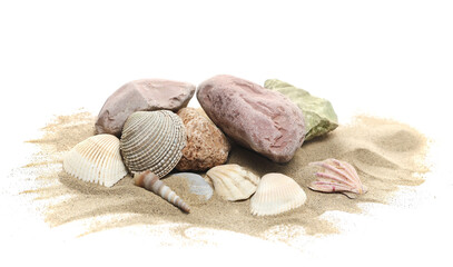 Seashell and stone in sand pile isolated on white background, side view	