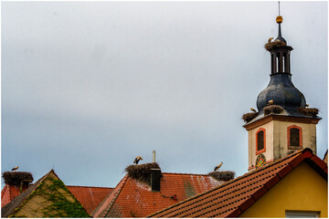 Storchennester