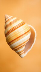 Close-up of a spiraled seashell on a warm blurred background. Glossy ridges in orange, brown, and cream tones. Centered composition highlights texture, color, and form.

