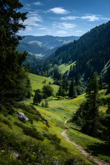 Obraz premium The Enchanted Path: A Journey Through Lush Meadows and Mysterious Forests Towards Distant Mountains