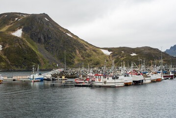 Fishing Village on the Fjord