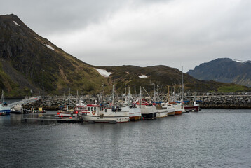 Fishing Village on the Fjord
