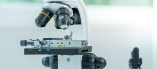 Scientist analyze biochemical samples in advanced scientific laboratory. Medical professional use microscope look microbiological developmental of viral. Biotechnology research in science lab.