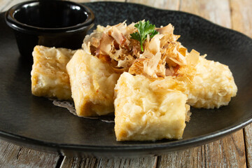 A closeup view of a plate of agedashi tofu.