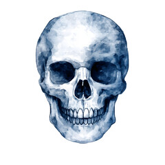 Fototapeta premium skull illustration png transparent background