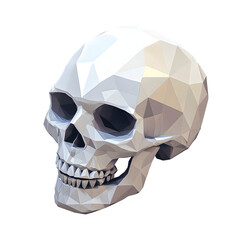 skull illustration png transparent background