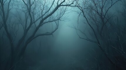 Obraz premium Aerial drone flight through a mystical foggy forest with soft light