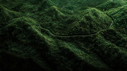 Aerial top view of a mountain road winding through a dark green forest