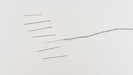 Needles and Thread A CloseUp View of Sewing Essentials