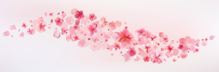 Delicate light pink sakura flowers flow. Wind swirls