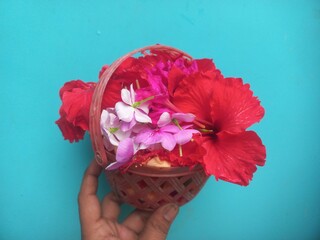 All kinds of red flowers in plastic basket in blue background.Handheld plastic basket containing...