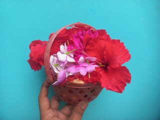 All kinds of red flowers in plastic basket in blue background.Handheld plastic basket containing...
