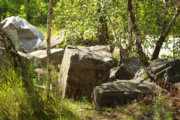 Huge stone in green forest