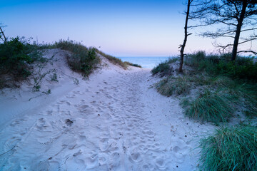 Picturesque view before sunrise of the entrance to the beach between the dunes, Polish coast, Dąbki.