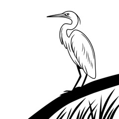Black and white outline vector of an egret bird standing on a curved branch with grass below. Suitable for coloring pages, prints, and nature-themed design projects.